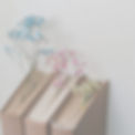 Flowers and Books Search Bar Instagram Post.jpg