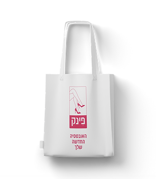 הדמיה תיק.png