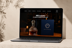 תמונה משחק.png