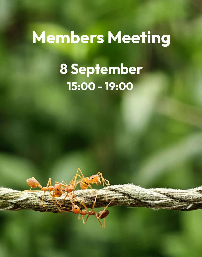 Members' Meeting