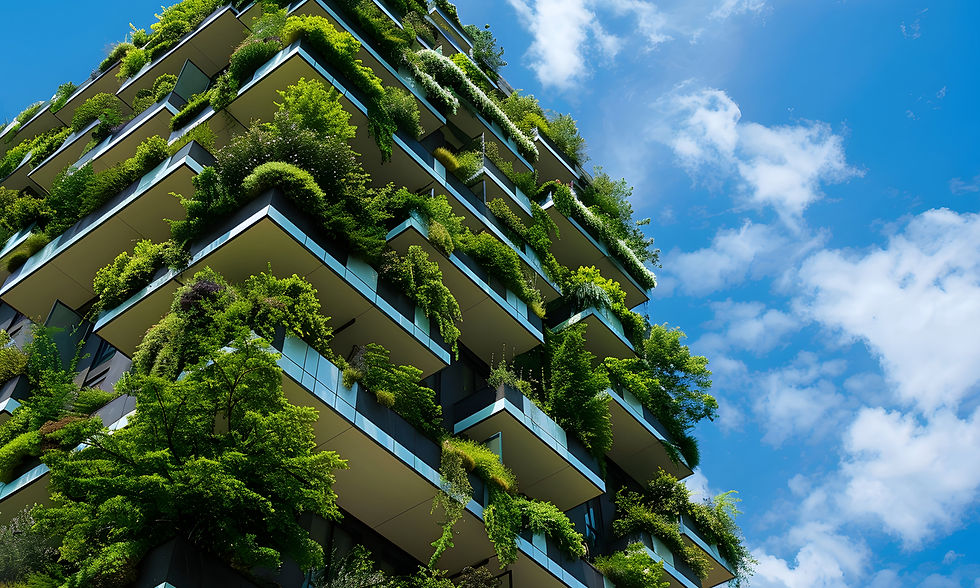 Addressing Challenges in Real Estate