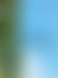 on the way to 10% for impact              19/09/2024