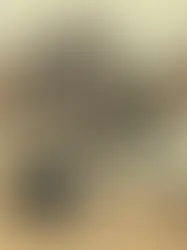 2022 NAB impact report