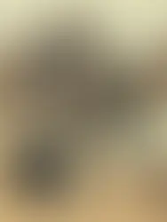 2022 NAB impact report