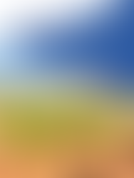 2023 NAB impact report