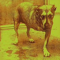 ALICE_IN_CHAINS