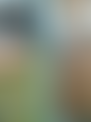 Actualización de Construcción de Enero