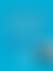 Historia de Éxito en el Hábitat: La Familia Allison