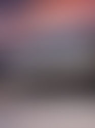 Historia de Éxito de Hábitat - Familia Munguía Fuentes