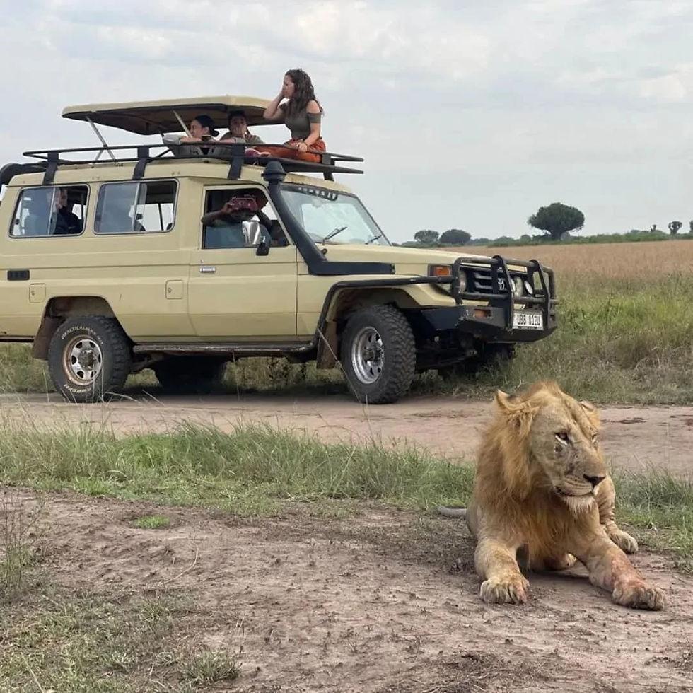 Serengeti Safari from Zanzibar