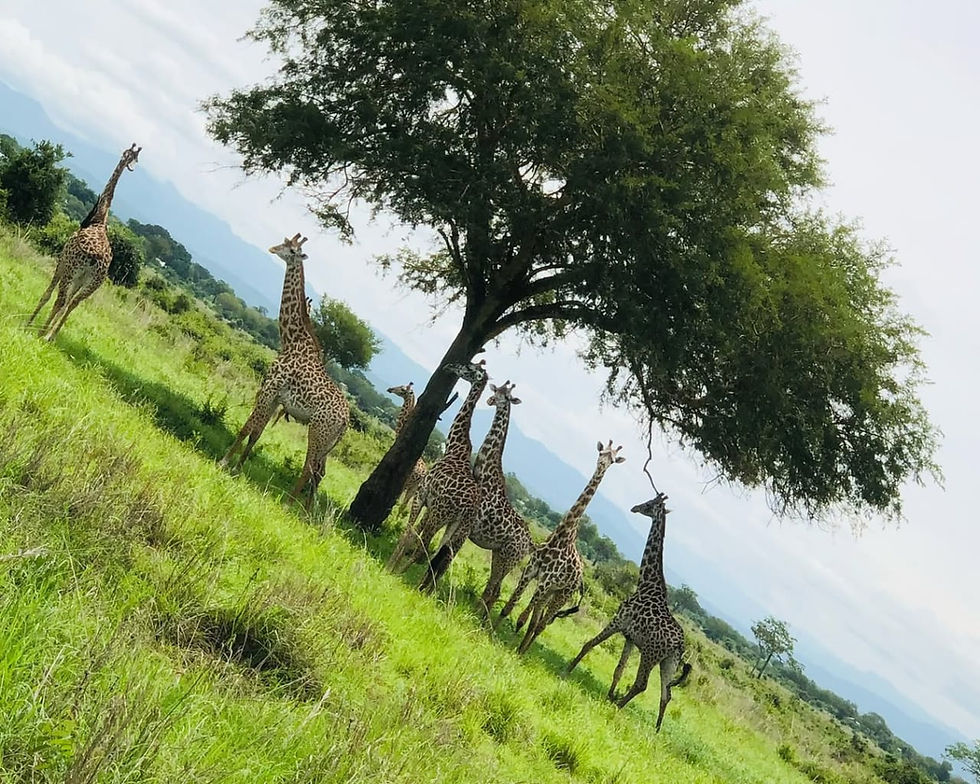 Selous Game Reserve Safari from Zanzibar_edited