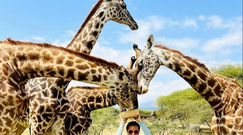 Mikumi Safari from Zanzibar_edited.jpg