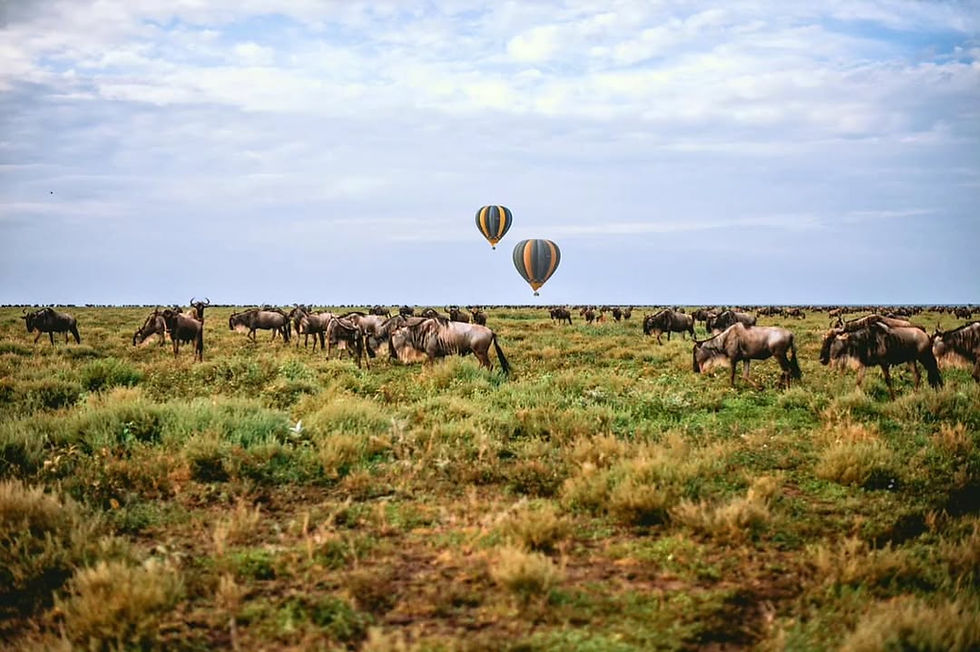 Serengeti Safari from Zanzibar