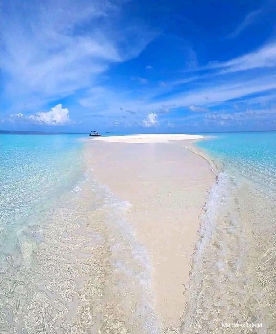 Nakupenda Sandbank Tour (3)