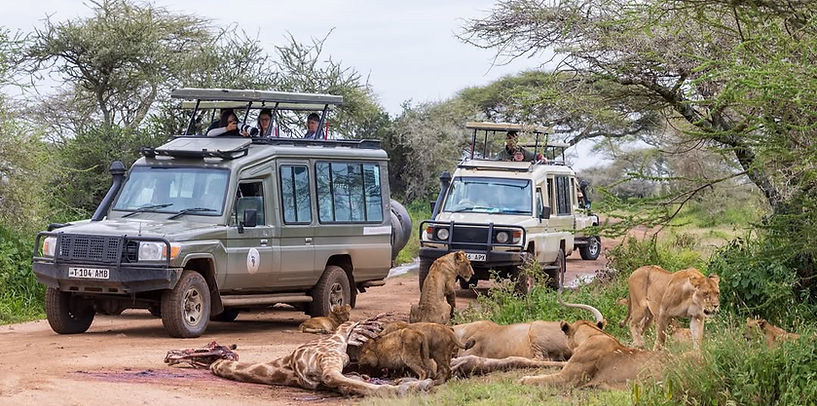 Serengeti Safari from Zanzibar
