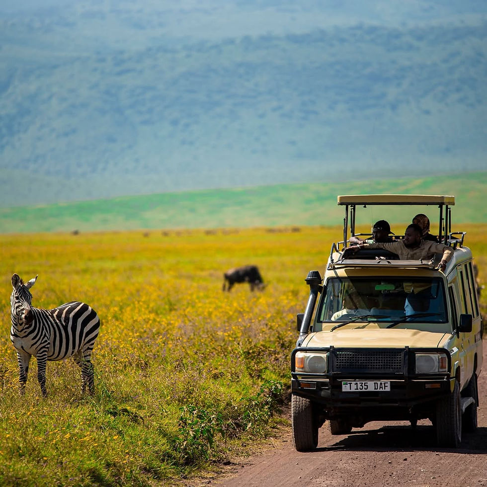Serengeti Safari from Zanzibar
