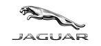 JAGUAR.jpg
