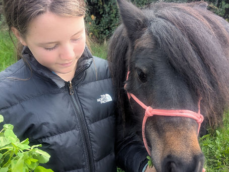 A Little Peek Into Our Pony Sessions 🐴