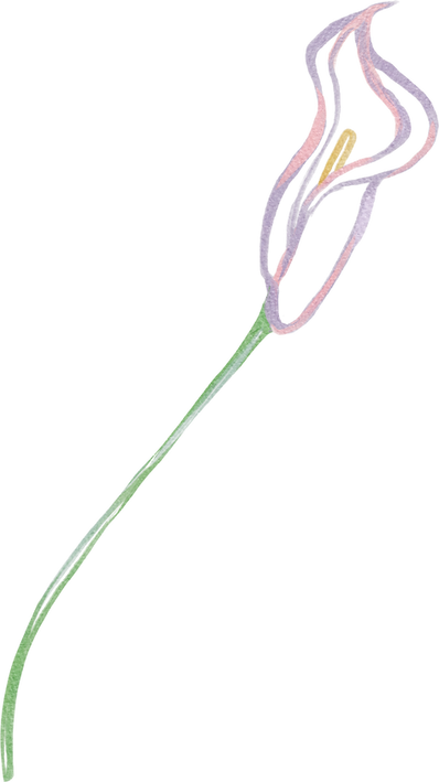 Element (178).png