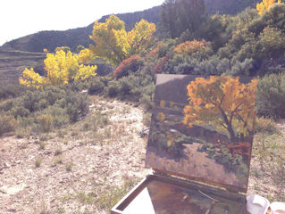 A Beautiful Disaster - McElmo Canyon