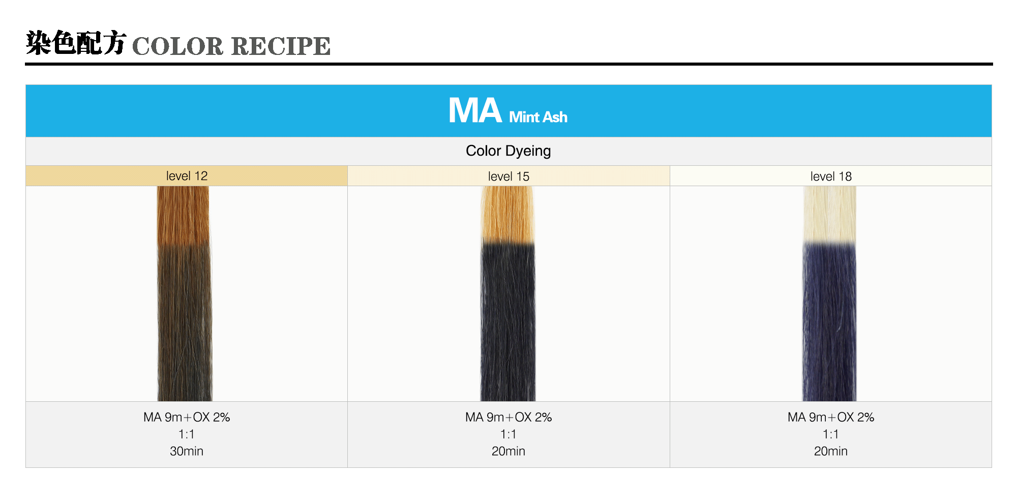 12_MA-MintAsh-m_Caradeco Museria Landing Page_Color Recipe_sample pic_gif2000.gif