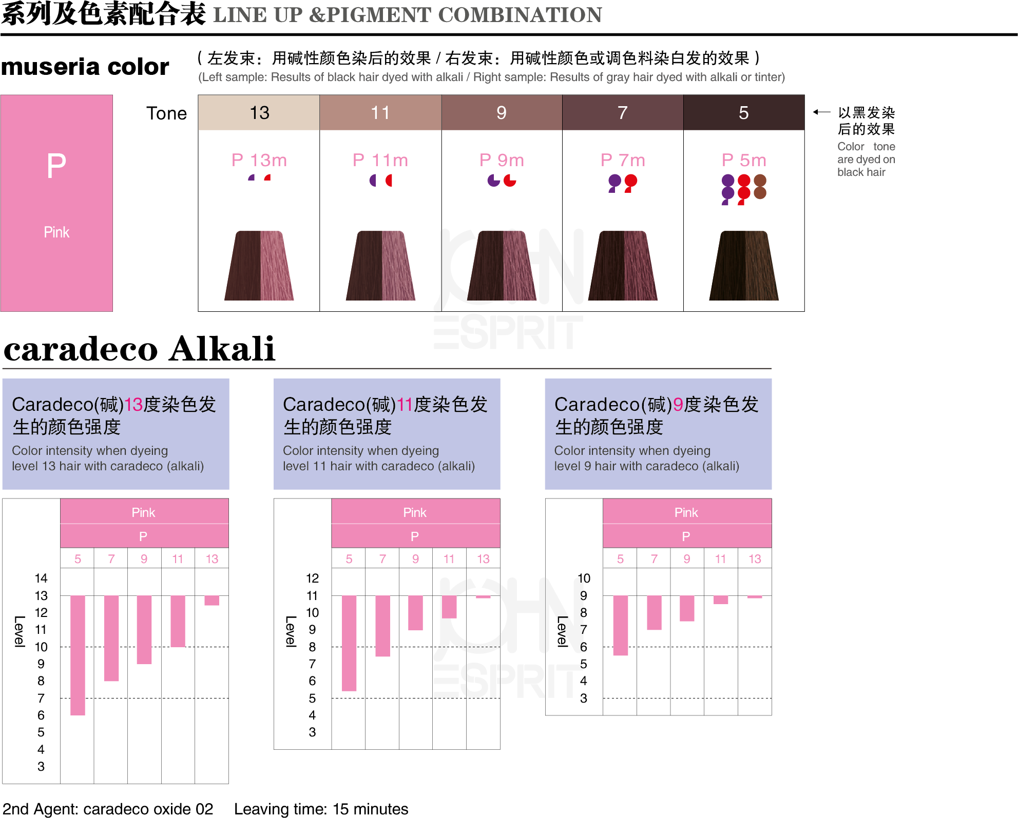 2_P-Pink_museria color.gif
