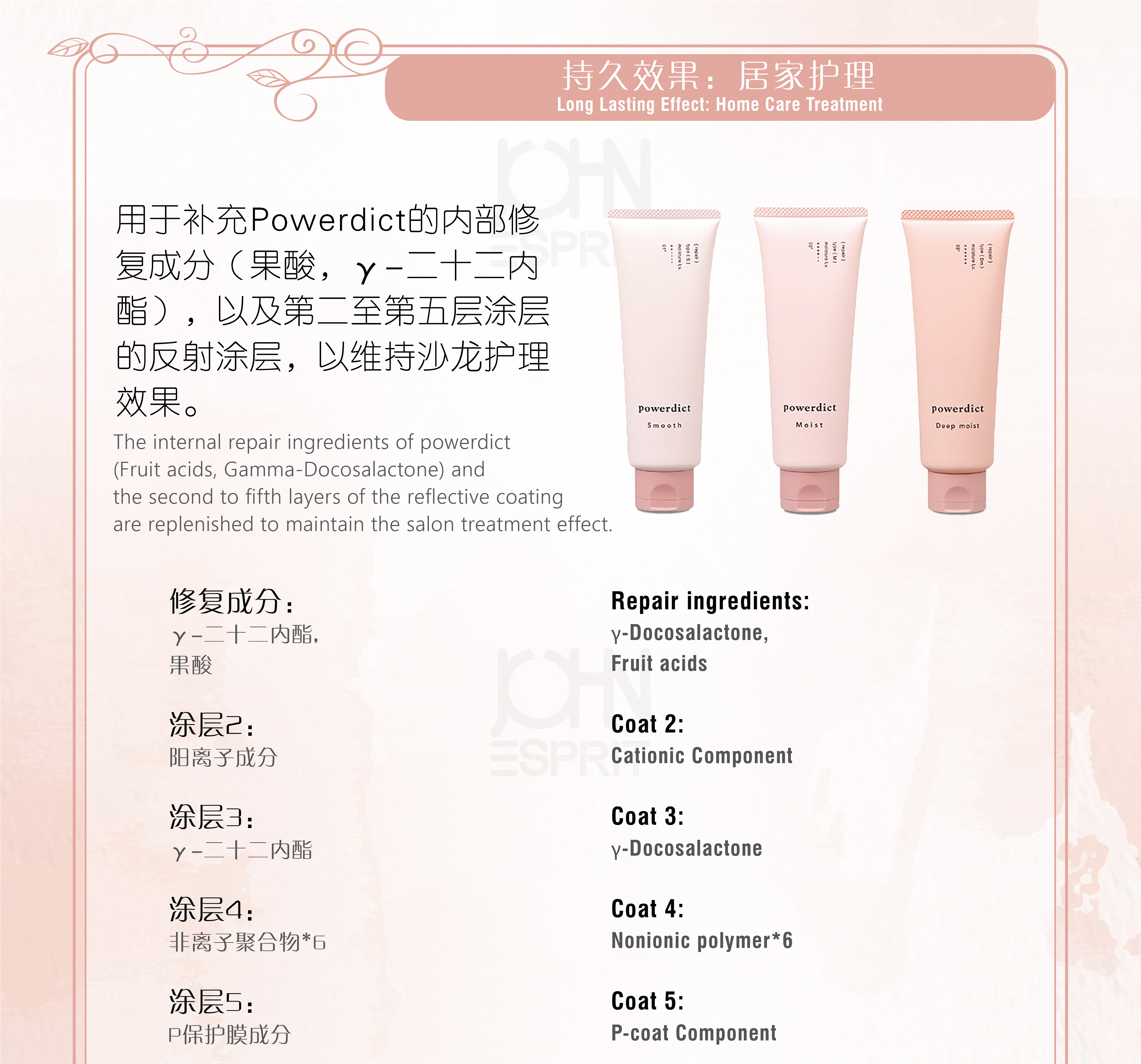 POWERDiCT_SALON_new-15.gif