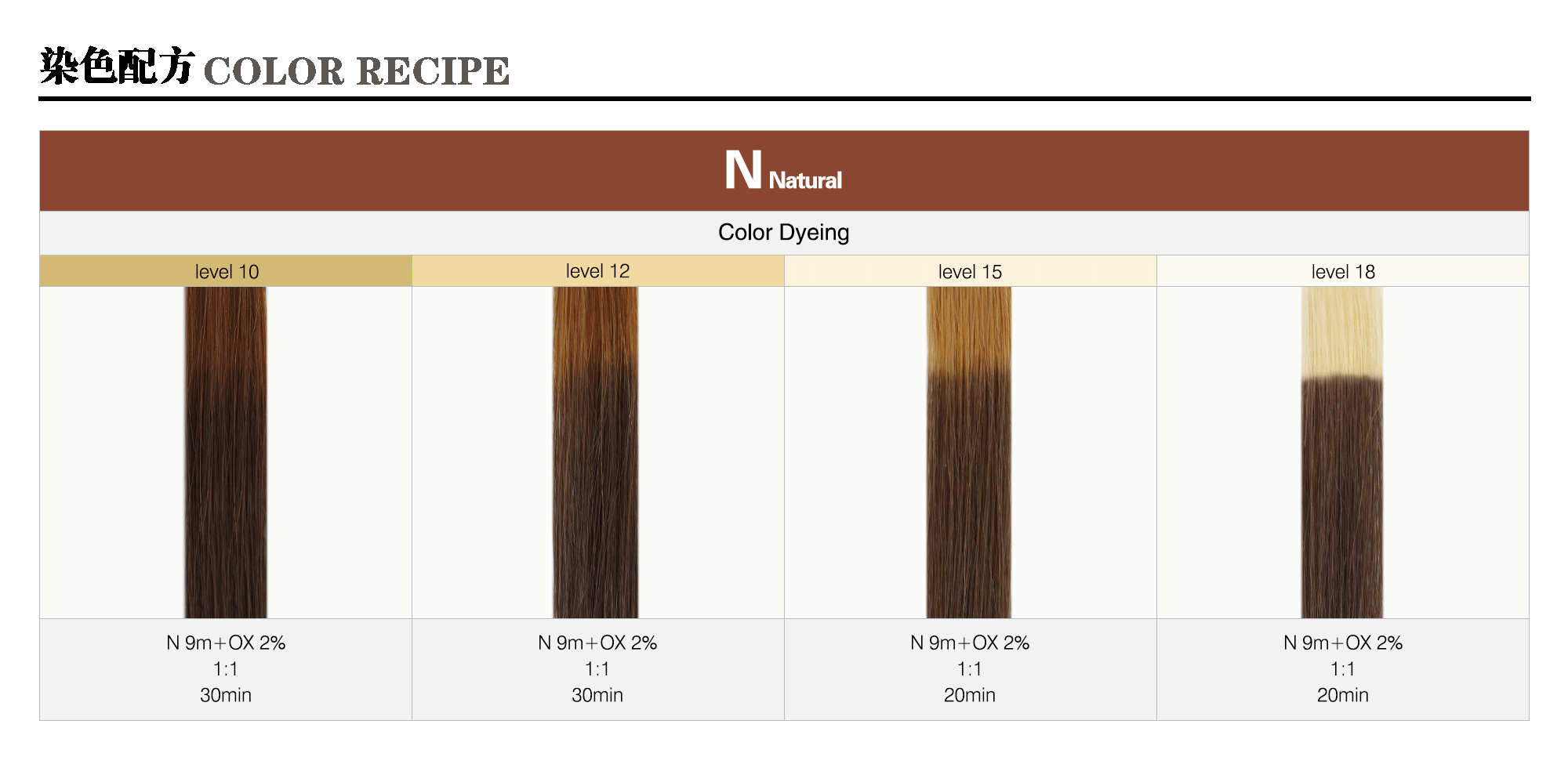 01_N-Natural-m_Caradeco Museria Landing Page_Color Recipe_sample pic_gif2000.gif