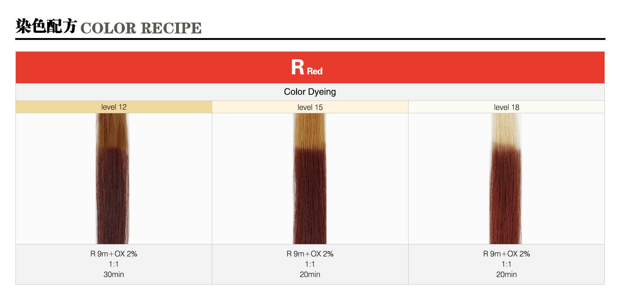 07_R-Red-m_Caradeco Museria Landing Page_Color Recipe_sample pic_gif2000.gif