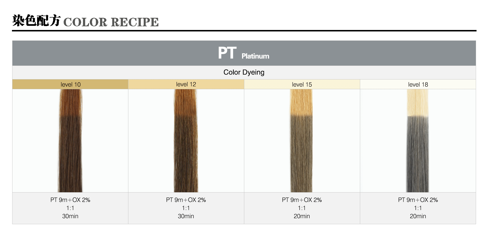 3_PT-Platinum-m_Caradeco Museria Landing Page_Color Recipe_sample pic_gif2000.gif