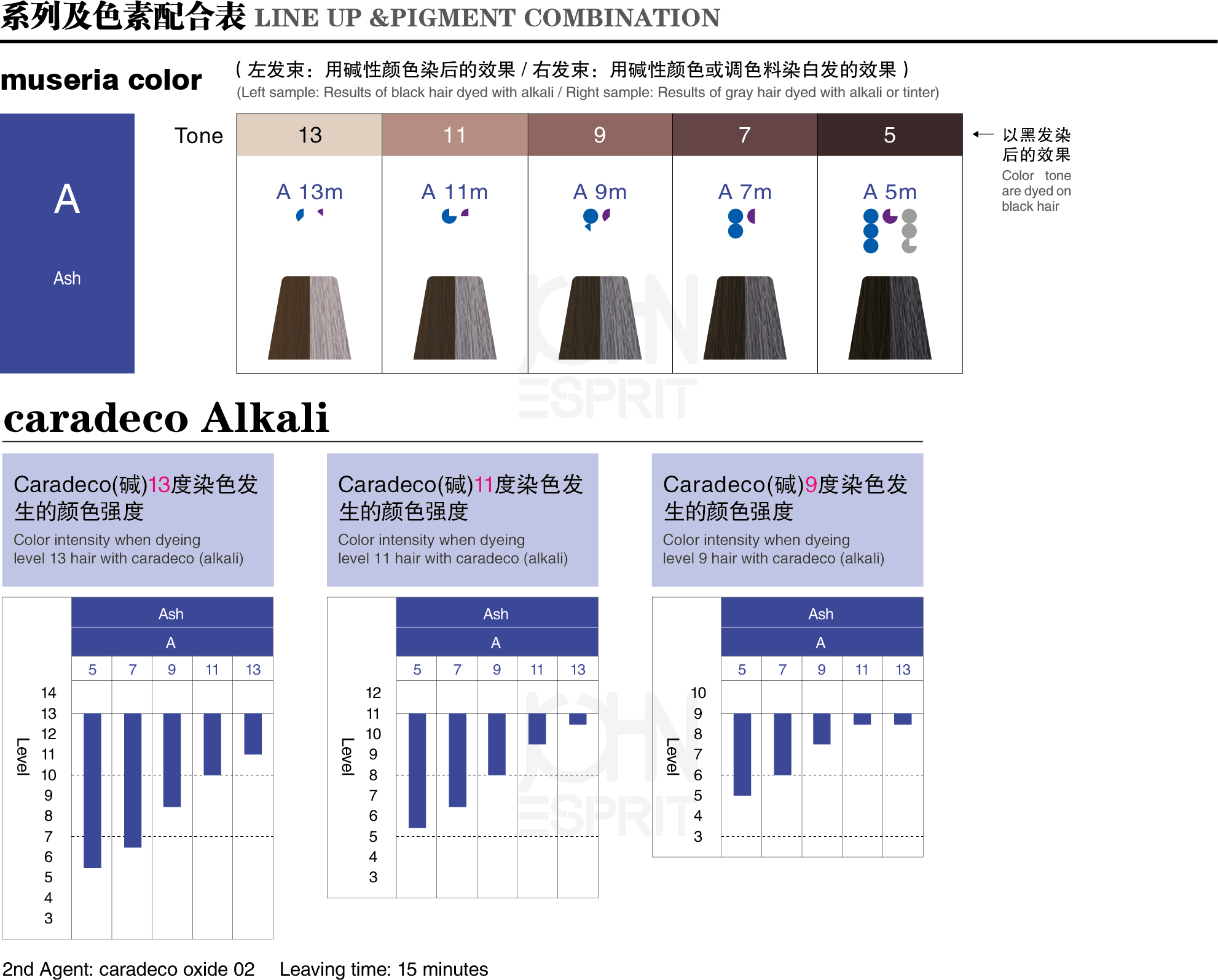 2_A-Ash_museria color.gif