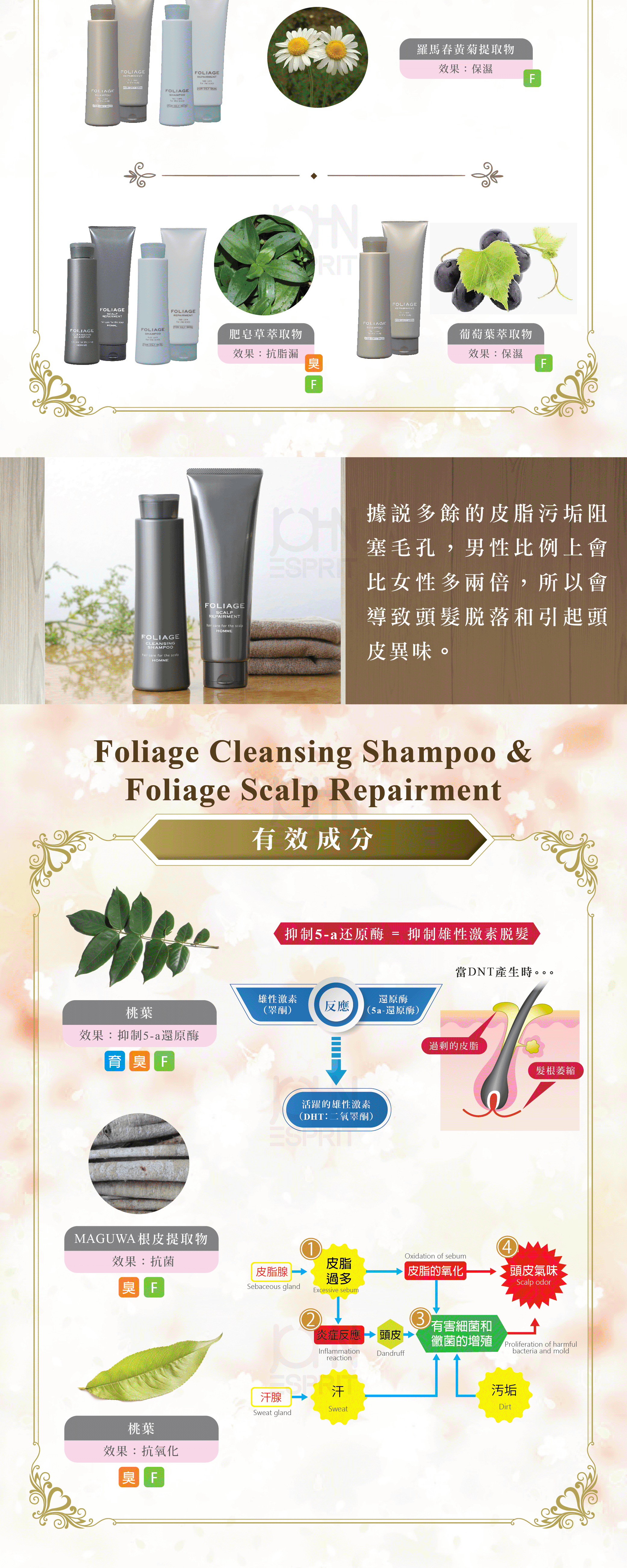 04_FoliageSH+RP.gif