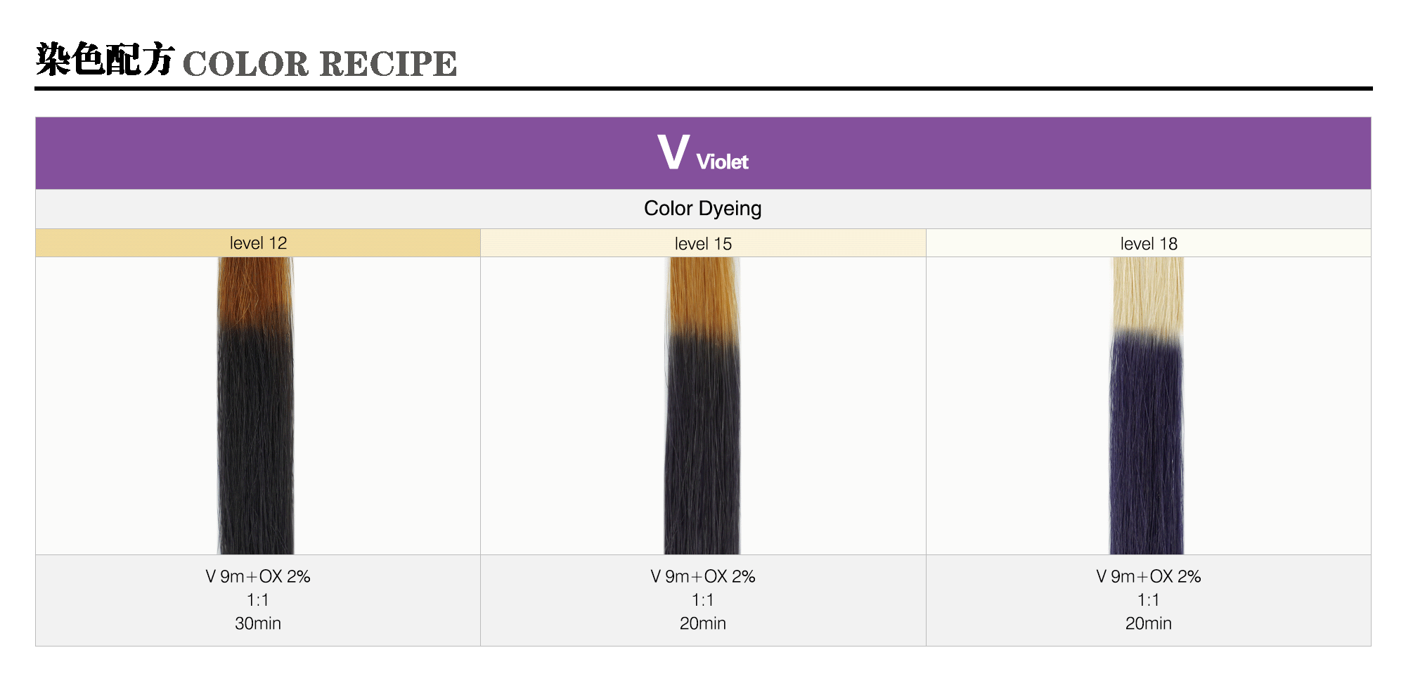 04_V-Violet-m_Caradeco Museria Landing Page_Color Recipe_sample pic_gif2000.gif