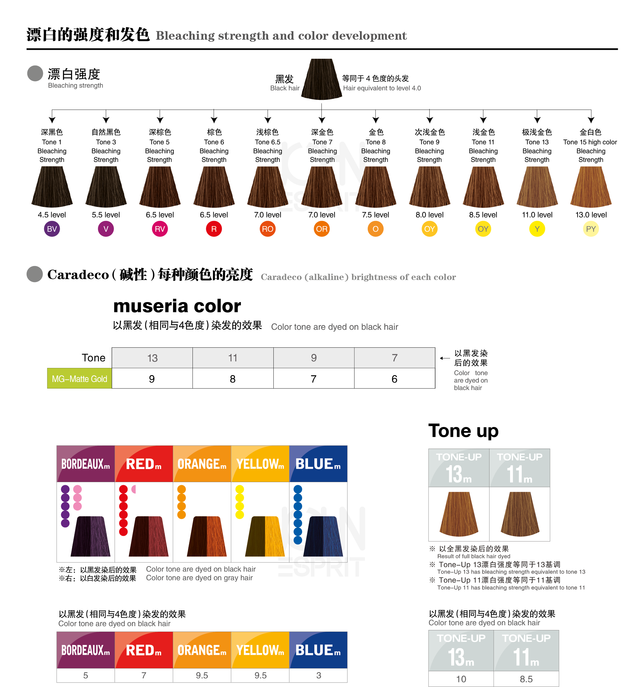 3_MG-Matte-Gold_Bleaching.gif