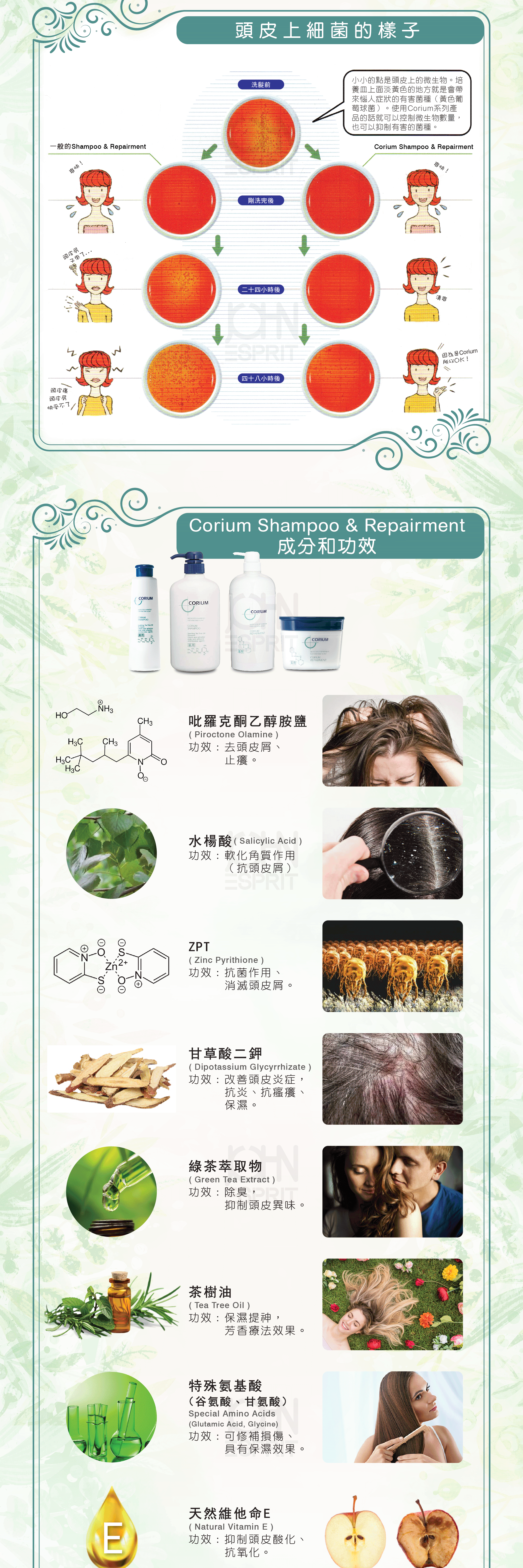 02_CORiUM_SH+RP.gif
