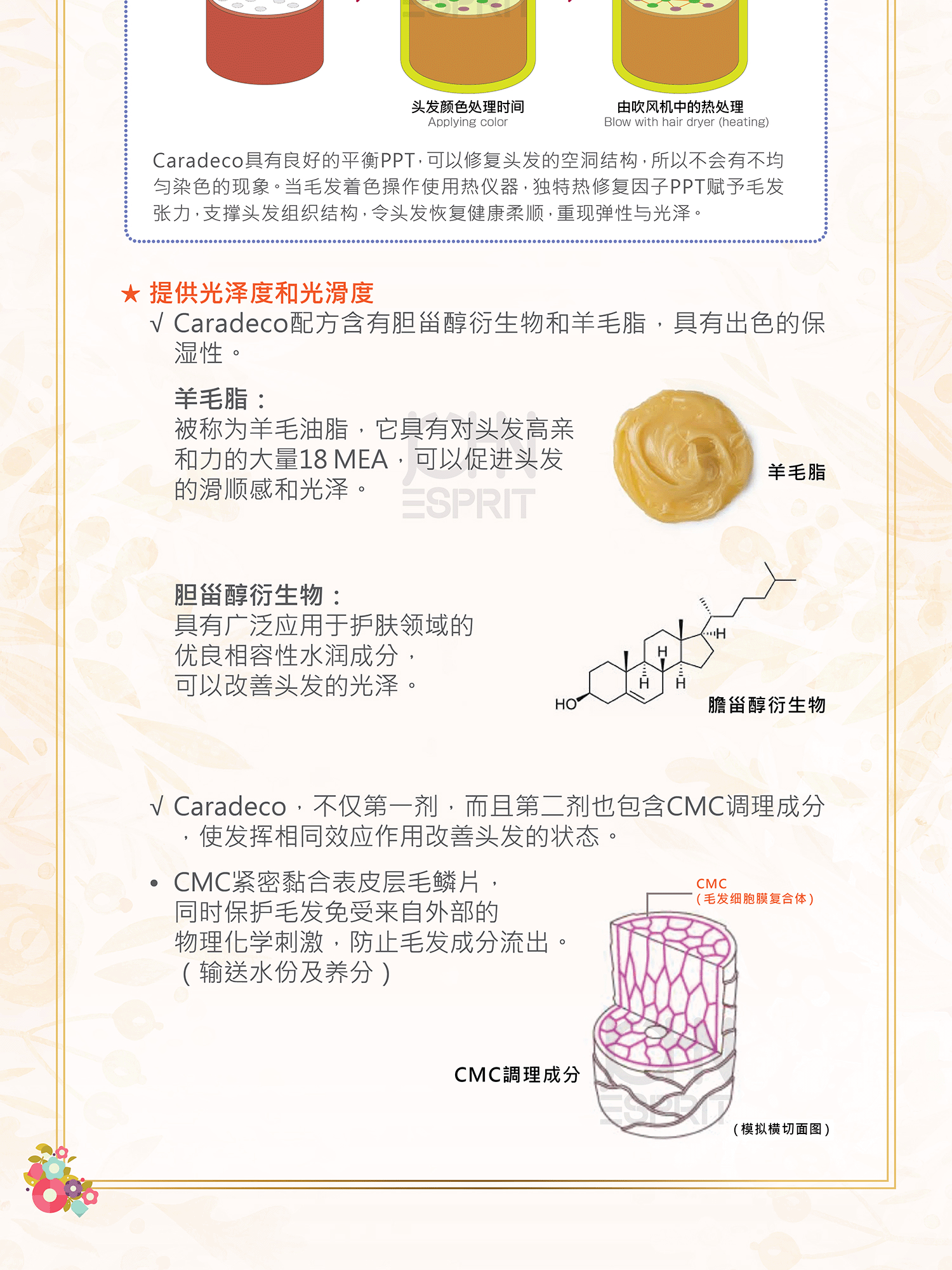 11_gif_202411_caradeco-haircolor-Landing-Page.gif