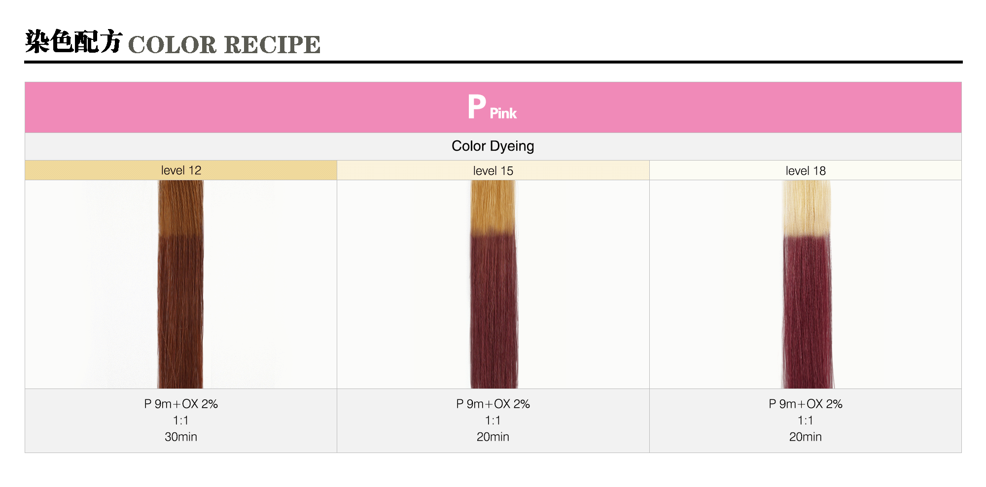 05_P-Pink-m_Caradeco Museria Landing Page_Color Recipe_sample pic_gif2000.gif