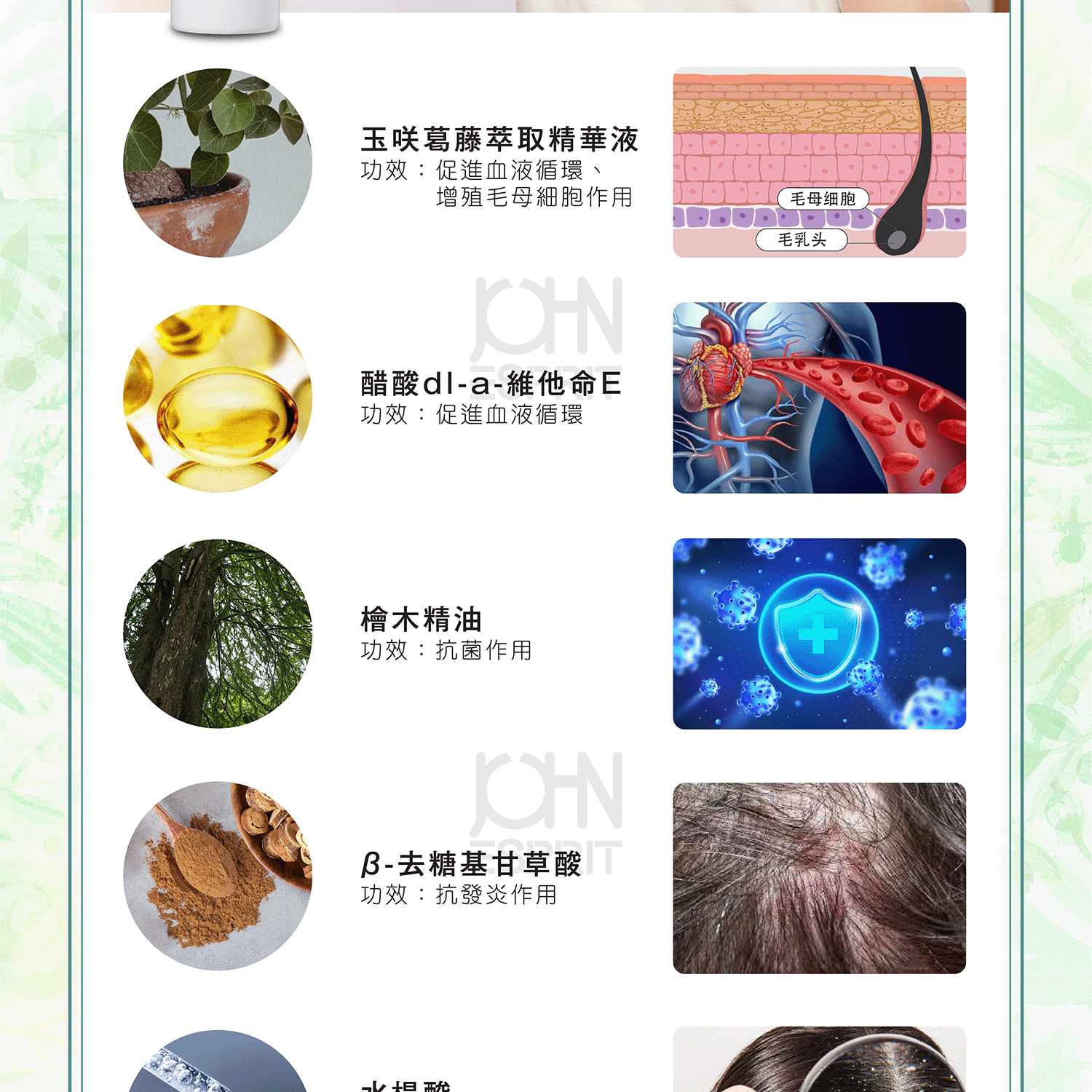 05_GIF_CORiUM_NECELP2024_1000px.gif