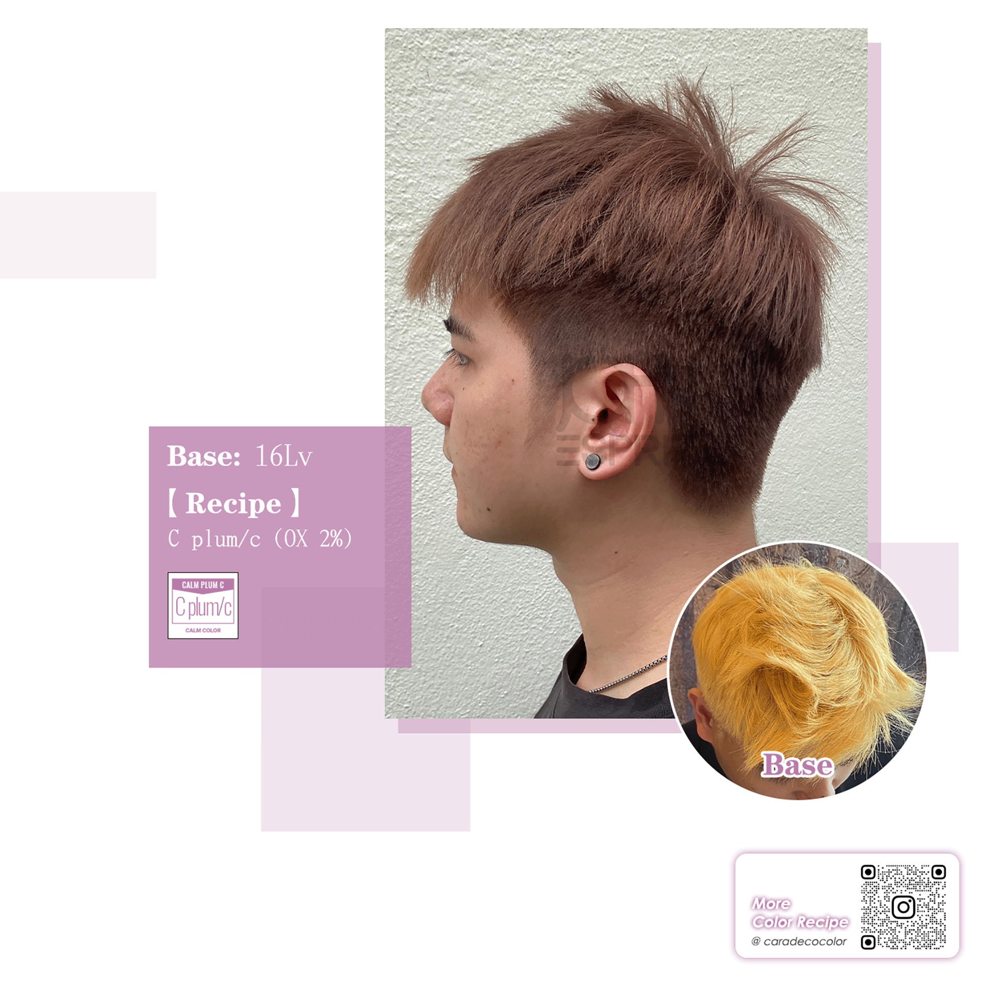 02_c_C plum_Caradeco Propasal.gif