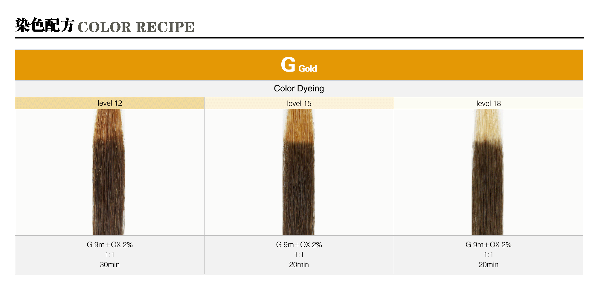 09_G-Gold-m_Caradeco Museria Landing Page_Color Recipe_sample pic_gif2000.gif