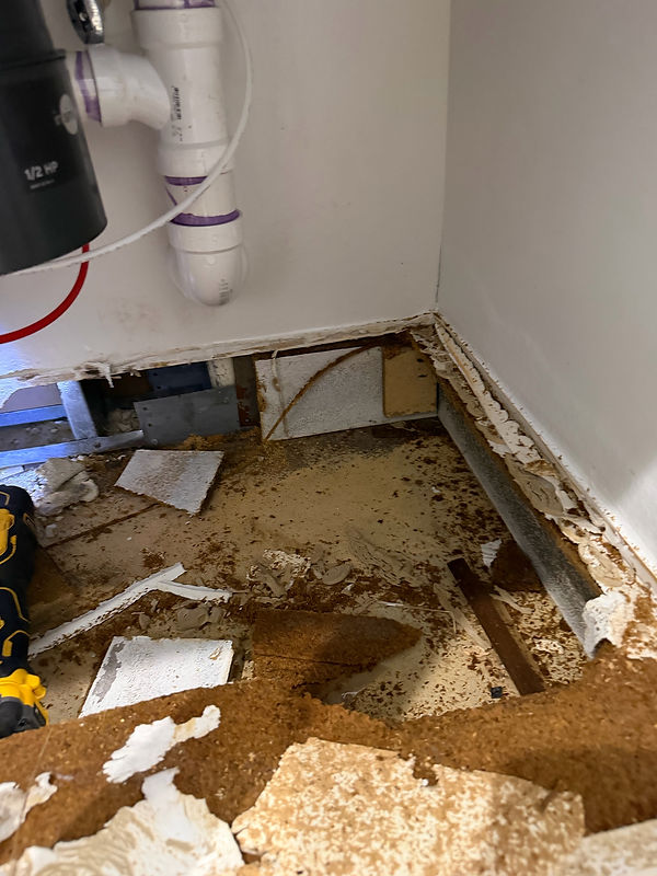 04-under-sink-cabinet-rot.jpg