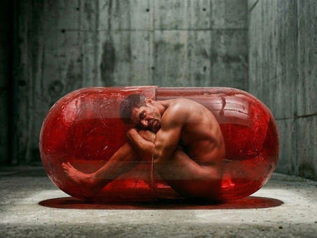 Red-Pill sob o olhar da Psicanalise Reichiana.