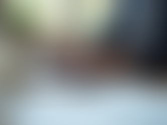 Enhance Success with Stellar Progam Narratives