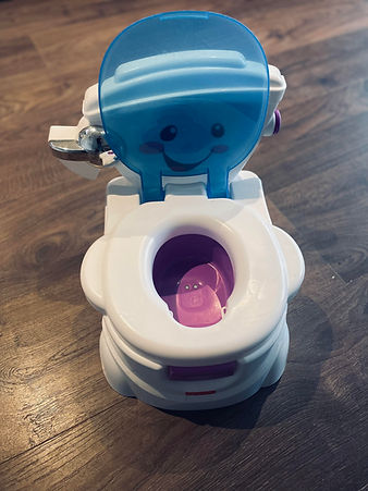 potty.jpeg
