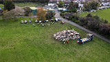 DJI_0021.jpeg