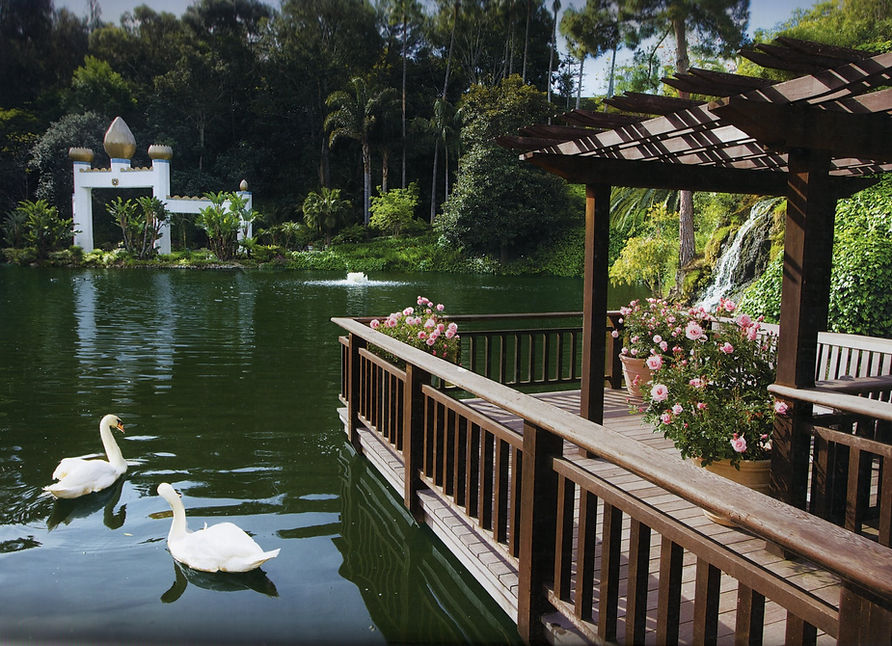 473111_204189176355844_2130991683_o (1).