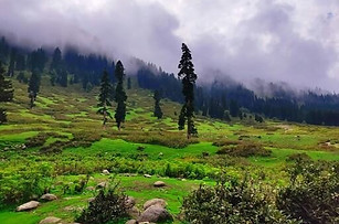 Doodhpathri