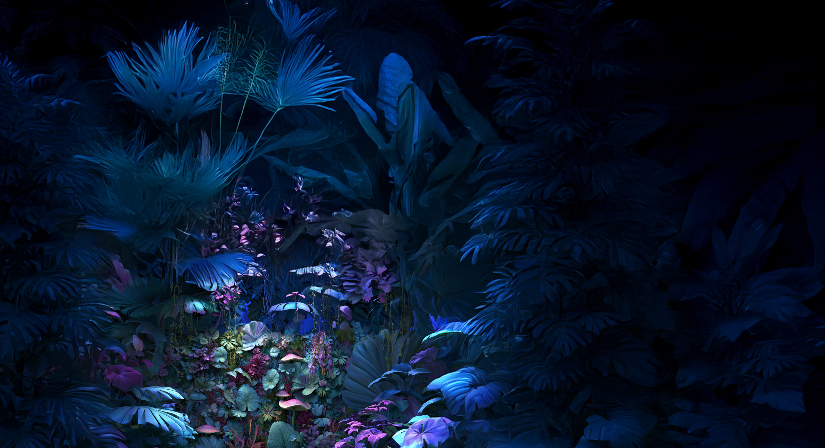 a placeholder image.