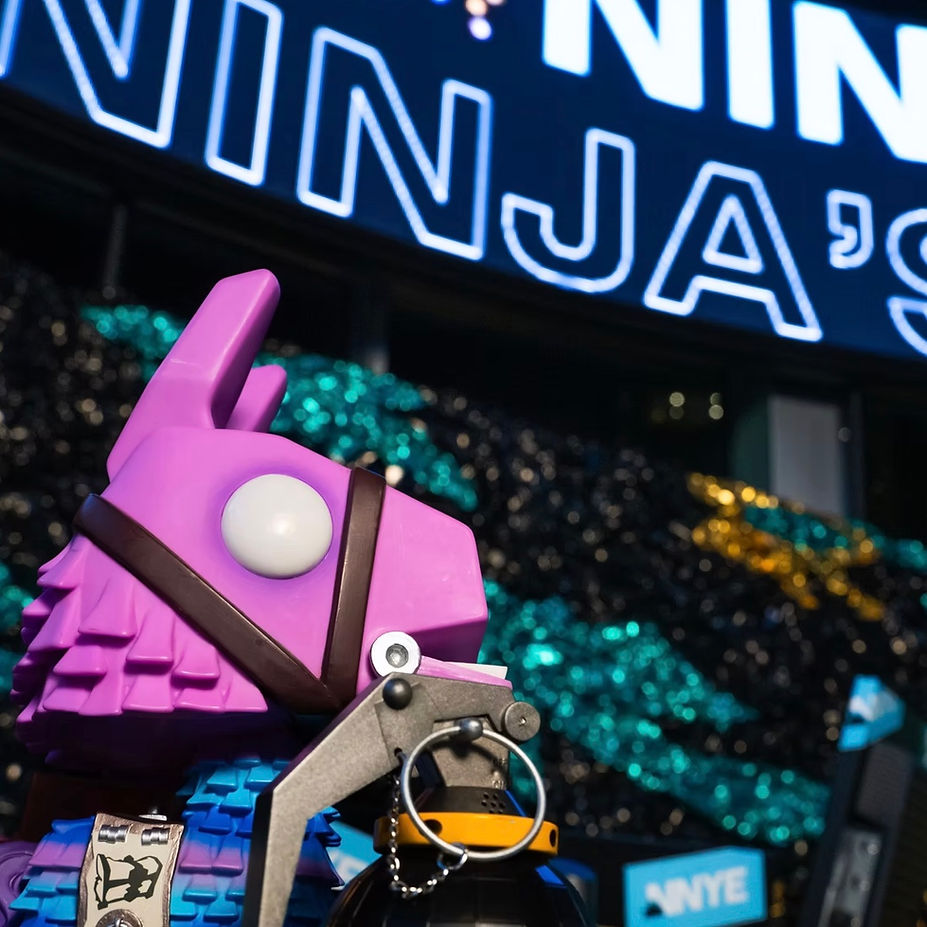 ninjas-new-years-eve