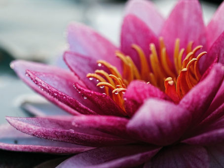 Reiki Grad I Information